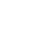 language